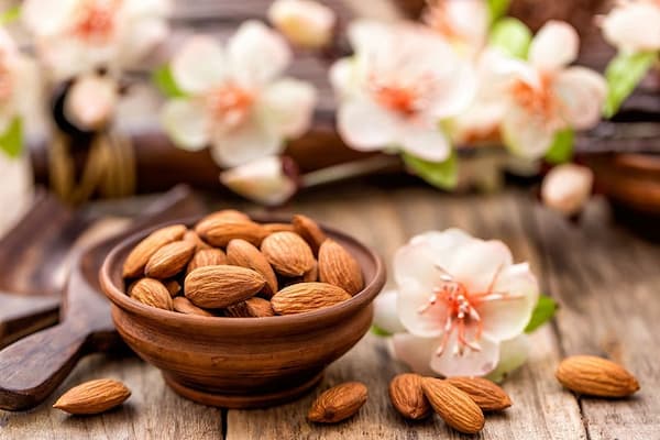 تصویر 1 از قیمت بادام درختی آجیلی + خرید باور نکردنی